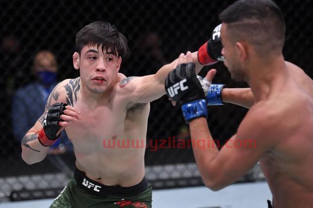 盘点UFC五位排名上升最快选手：“狼王”奇马耶夫一年内提升134名