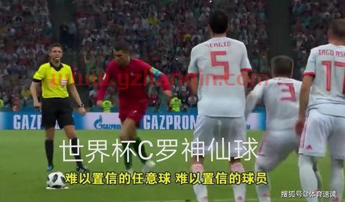 东方电视台节目表