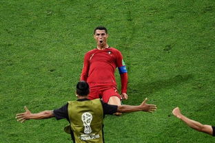 fifa足球世界杯