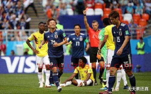 2022世界杯申办国有哪些