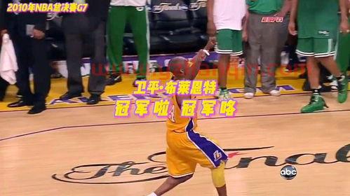nba总决赛2010