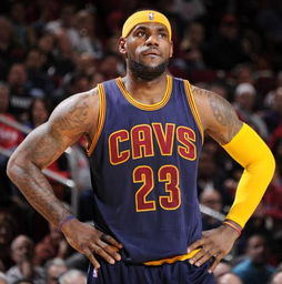 詹姆斯是高中生进nba