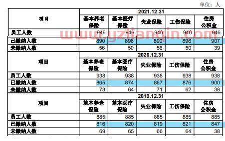 年报查询