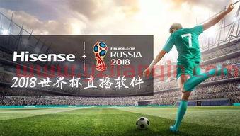 世界杯直播什么软件（世界杯在哪儿看） 第1张