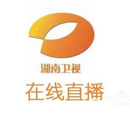 湖南卫视节在线直播（湖南卫视官网在线直播观看） 第1张