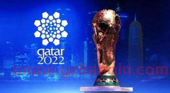2022年世界杯在哪儿举行（2022年的世界杯在哪里举办） 第1张