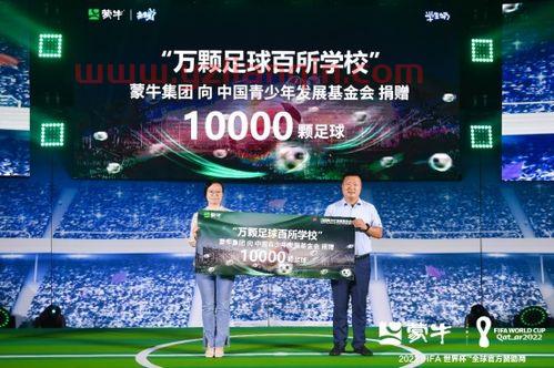 2018年俄罗斯世界杯