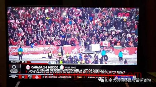 2022世界杯洲际附加赛对阵