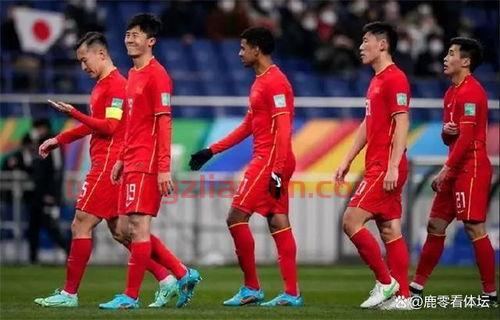 2002年中国进了世界杯