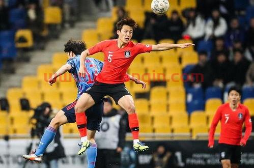 中超世界杯2022