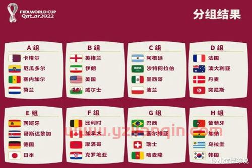 世界杯16强分组全部确定