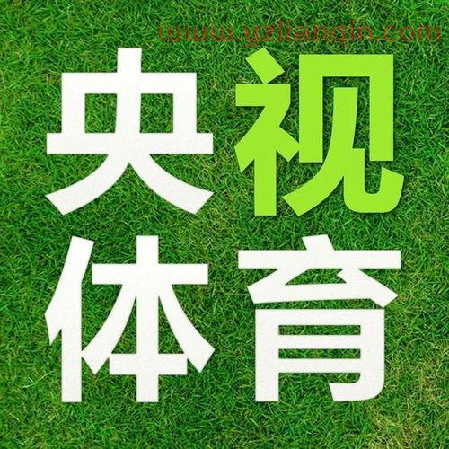 中央体育观看频道5直播在线直播世界杯